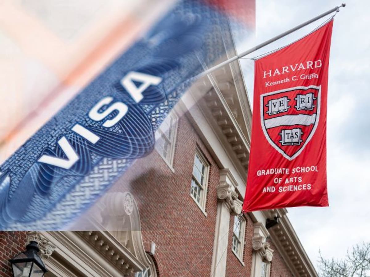 Disminución de visas estudiantiles en EE. UU. del 20%: Colombia, el país de la región más afectado