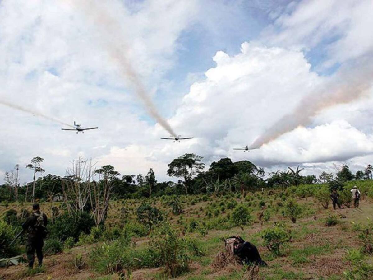 Con drones no bastó y Luis Pérez usará helicópteros para fumigar la coca