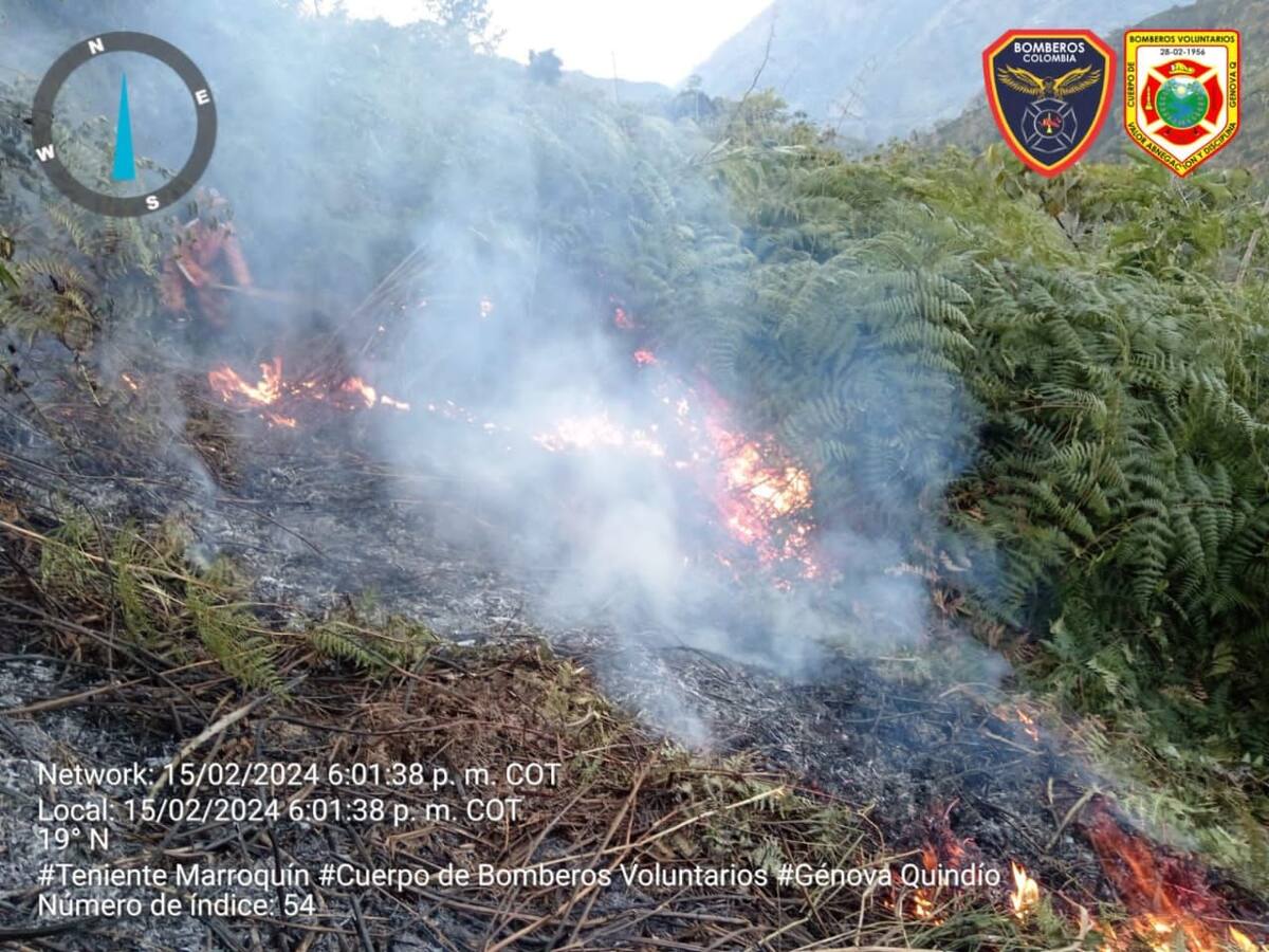 Cinco hectáreas afectadas por incendio forestal en el municipio de Génova, Quindío