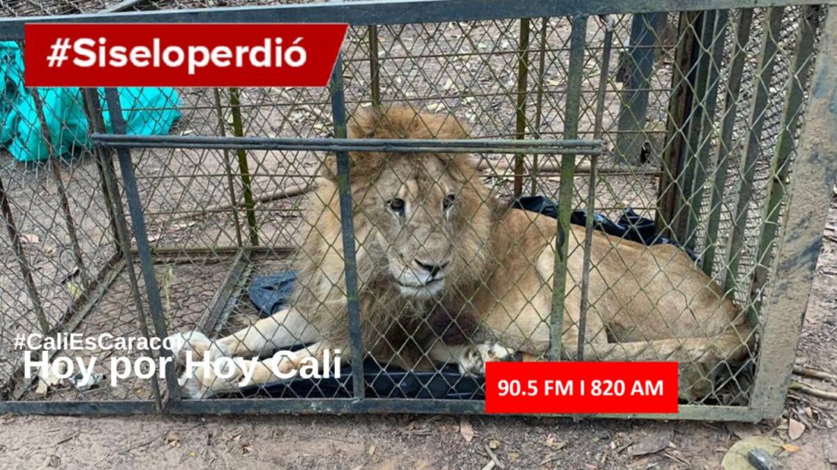 CALI HOY POR HOY 26 DE FEBRERO DEL 2020