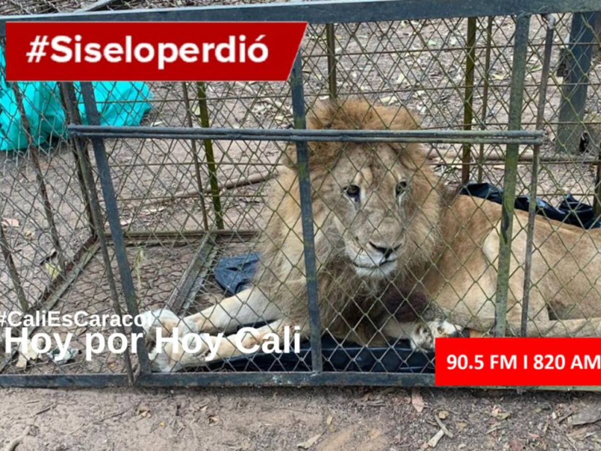 Cali Hoy por Hoy 26 de febrero del 2020