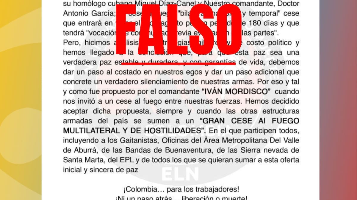 ELN dice que comunicado que anuncia un “Gran cese al fuego multilateral” es falso