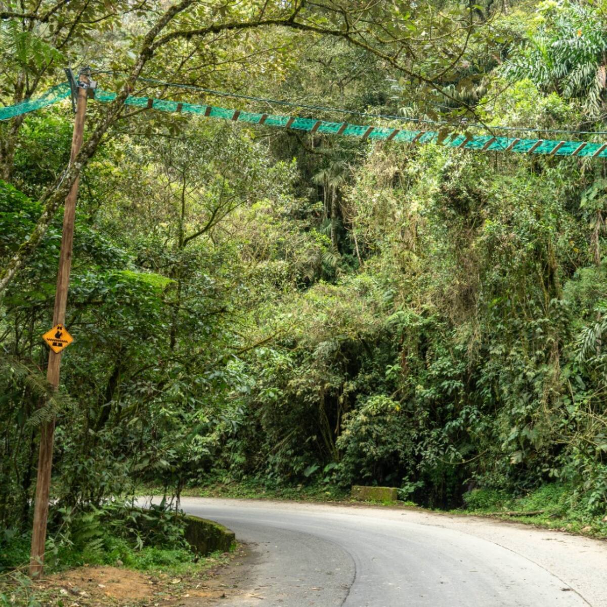 En el 2025 se han registrado 155 atropellamientos de fauna; Robledo, la zona con el mayor registro