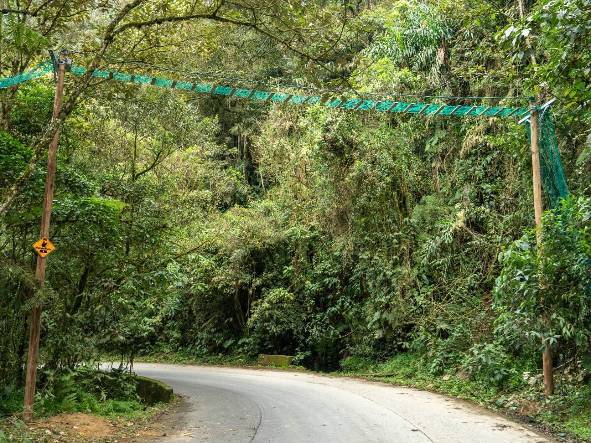 En el 2025 se han registrado 155 atropellamientos de fauna; Robledo, la zona con el mayor registro