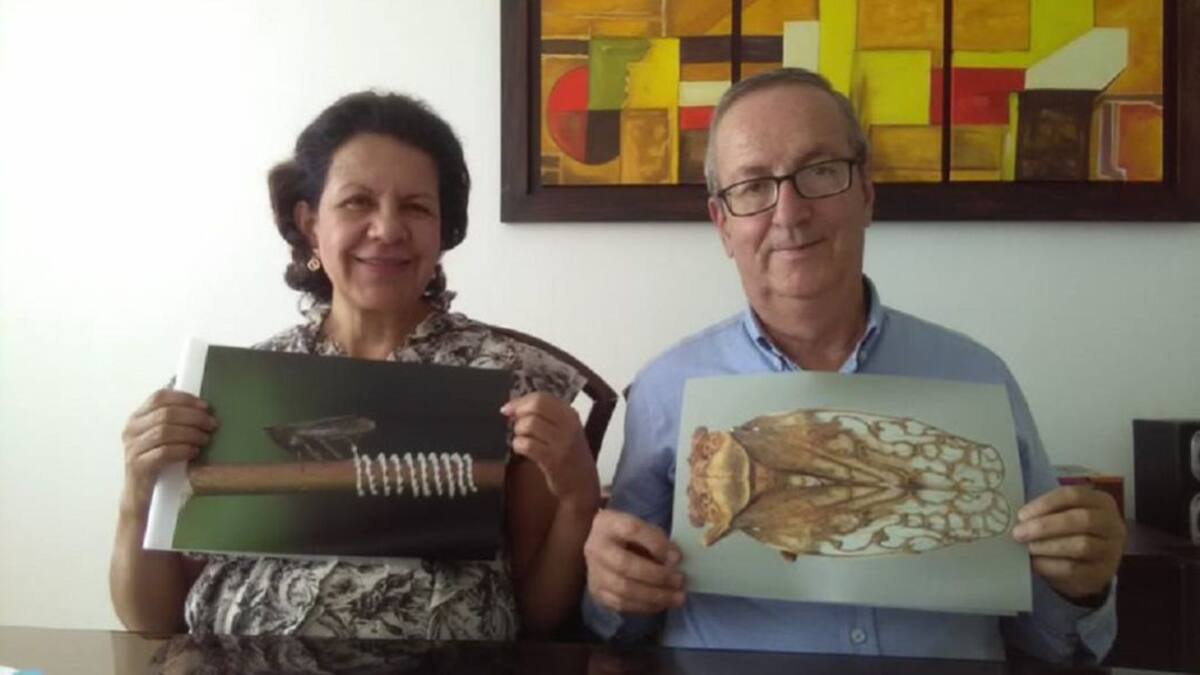 Descubrió dos especies de insectos y les puso los nombres de sus padres