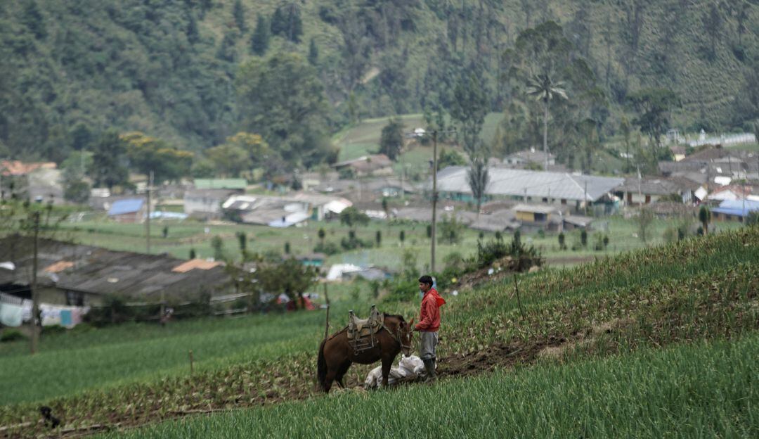 Tenerife, Valle del Cauca