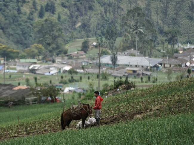 Tenerife, Valle del Cauca
