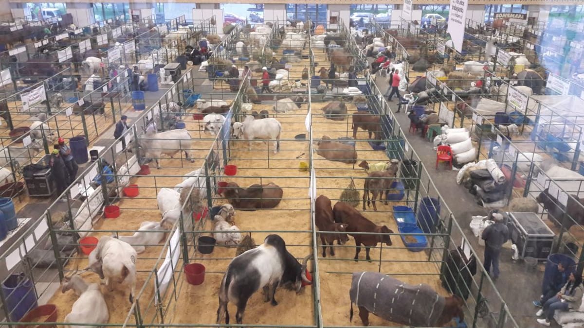 Listos protocolos sanitarios para Agroexpo 2025