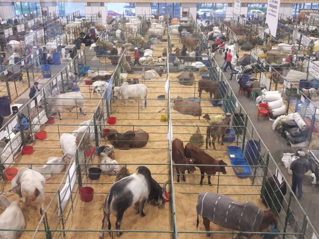 Listos protocolos sanitarios para Agroexpo 2025