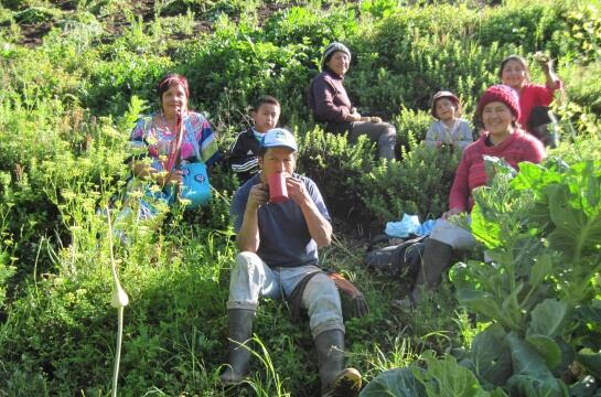 Miembros de la familia indígena Yanakuna en un huerto de Totoró, Cauca.