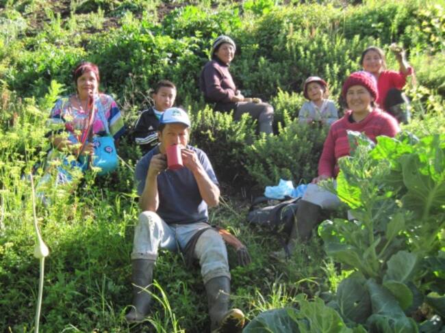 Miembros de la familia indígena Yanakuna en un huerto de Totoró, Cauca.