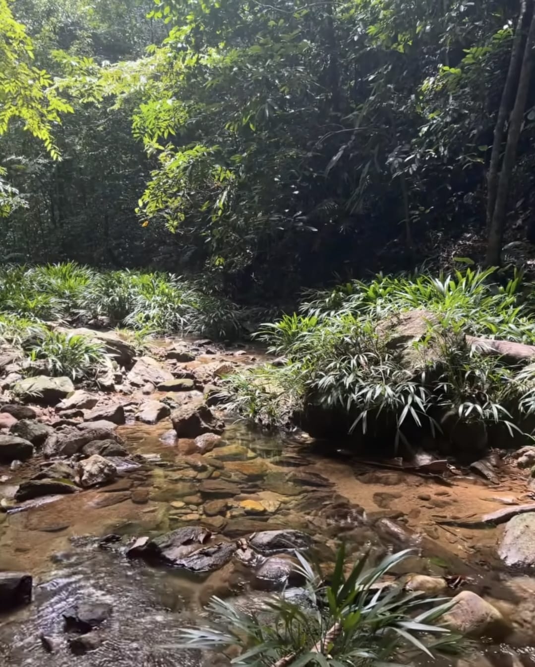 Río Claro, Antioquia. Foto: cortesía.