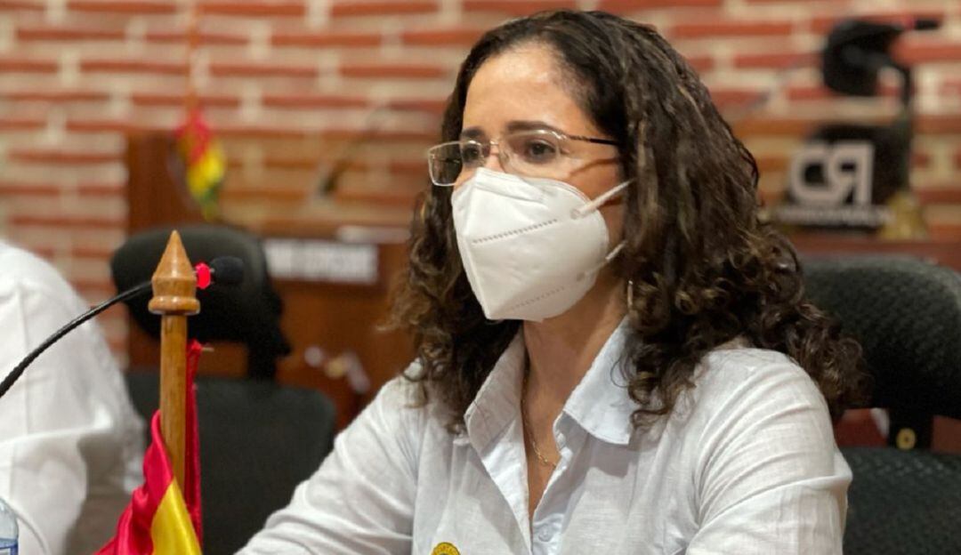 La secretaria de Hacienda, Diana Villalba Vallejo, expuso en el Concejo Distrital los proyectos durante la audiencia pública
