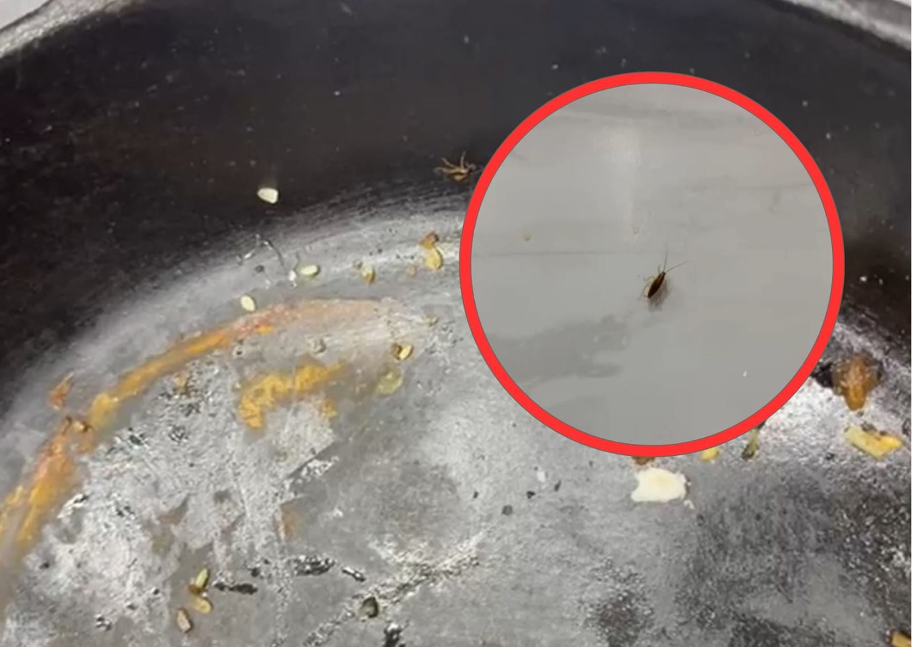 Operativos de salubridad en Ibagué