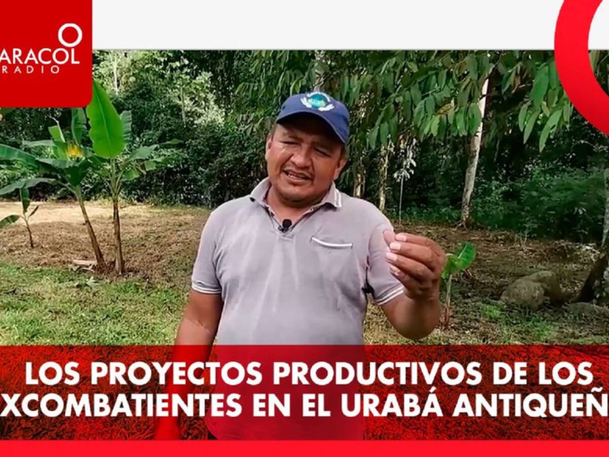 Los proyectos de los excombatientes en el Urabá Antioqueño