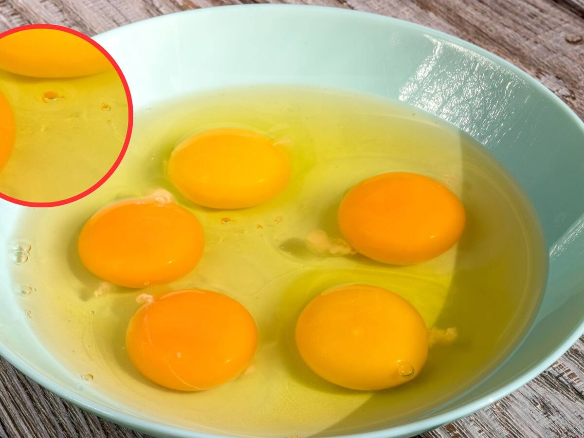 Huevos con manchas rojas o marrones en su clara: ¿peligro para la salud?