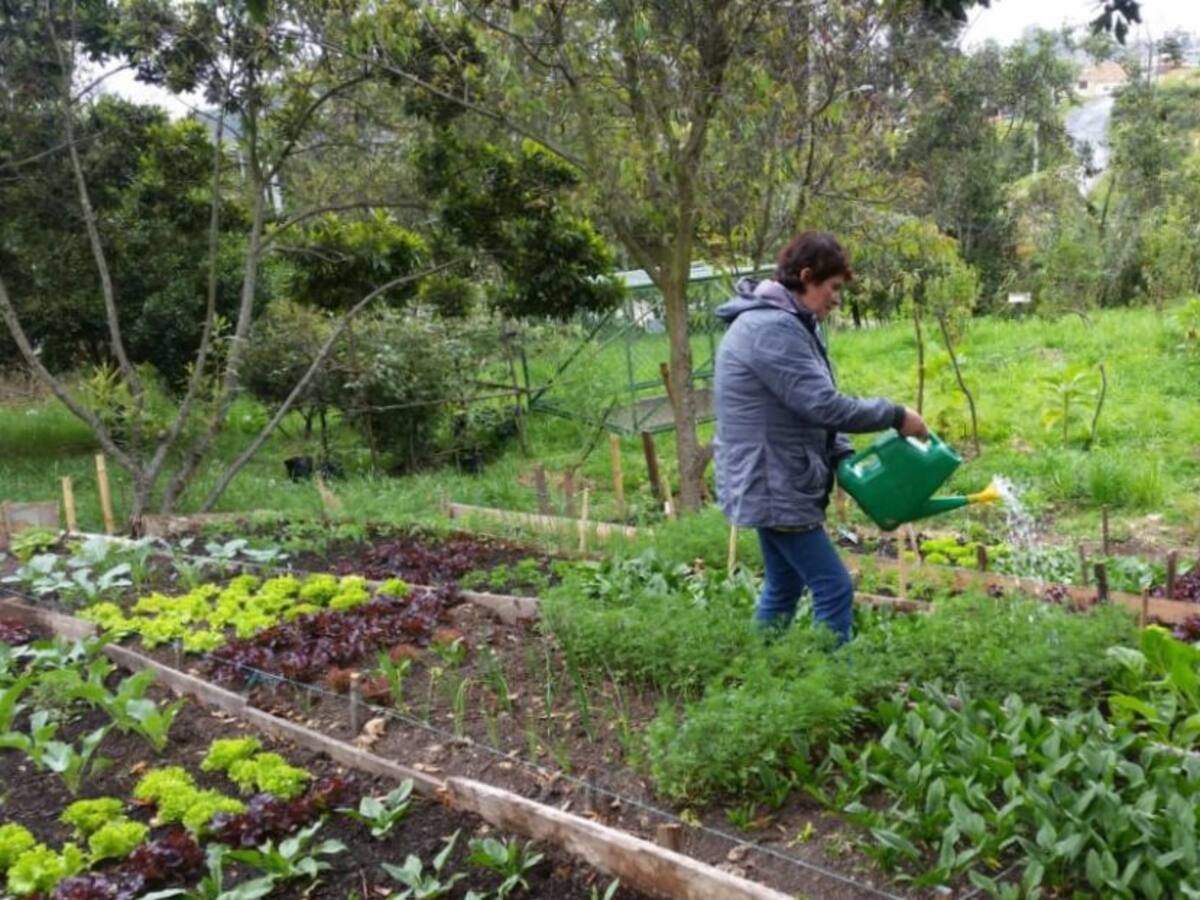 Conflicto armado entre Rusia y Ucrania podría impactar precios de alimentos