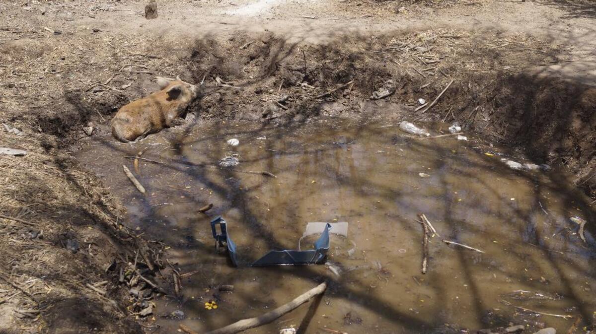 Recorrido de Caracol Radio por las zonas que aguantan sed. Fotos de Luis Enrique Rodríguez