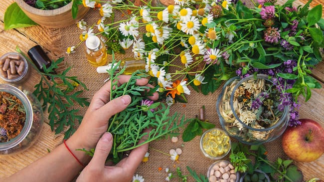 Imagen de referencia a hierbas/ Getty Images