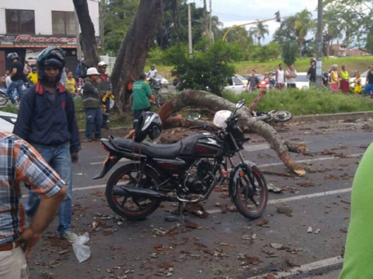 Doce personas lesionadas dejó la caída de una rama de un árbol en Cali