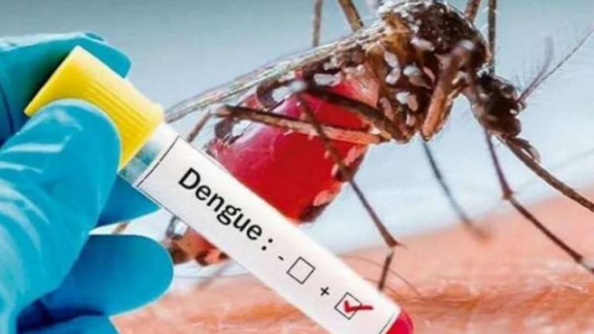 Epidemióloga, Ana Cecilia López