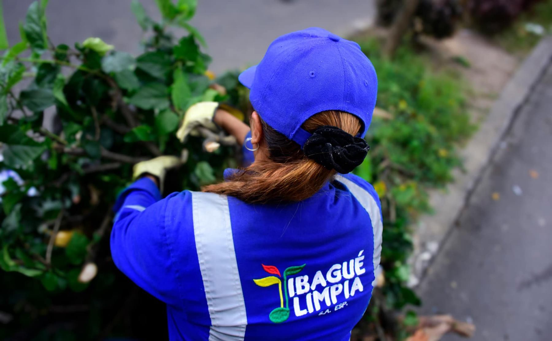 Ibagué Limpia