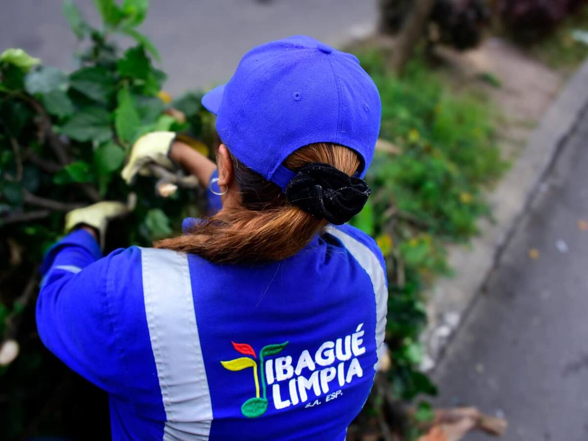 “Vía tutela a Ibagué Limpia le tocó entregarnos la información financiera”: Pedro Mora