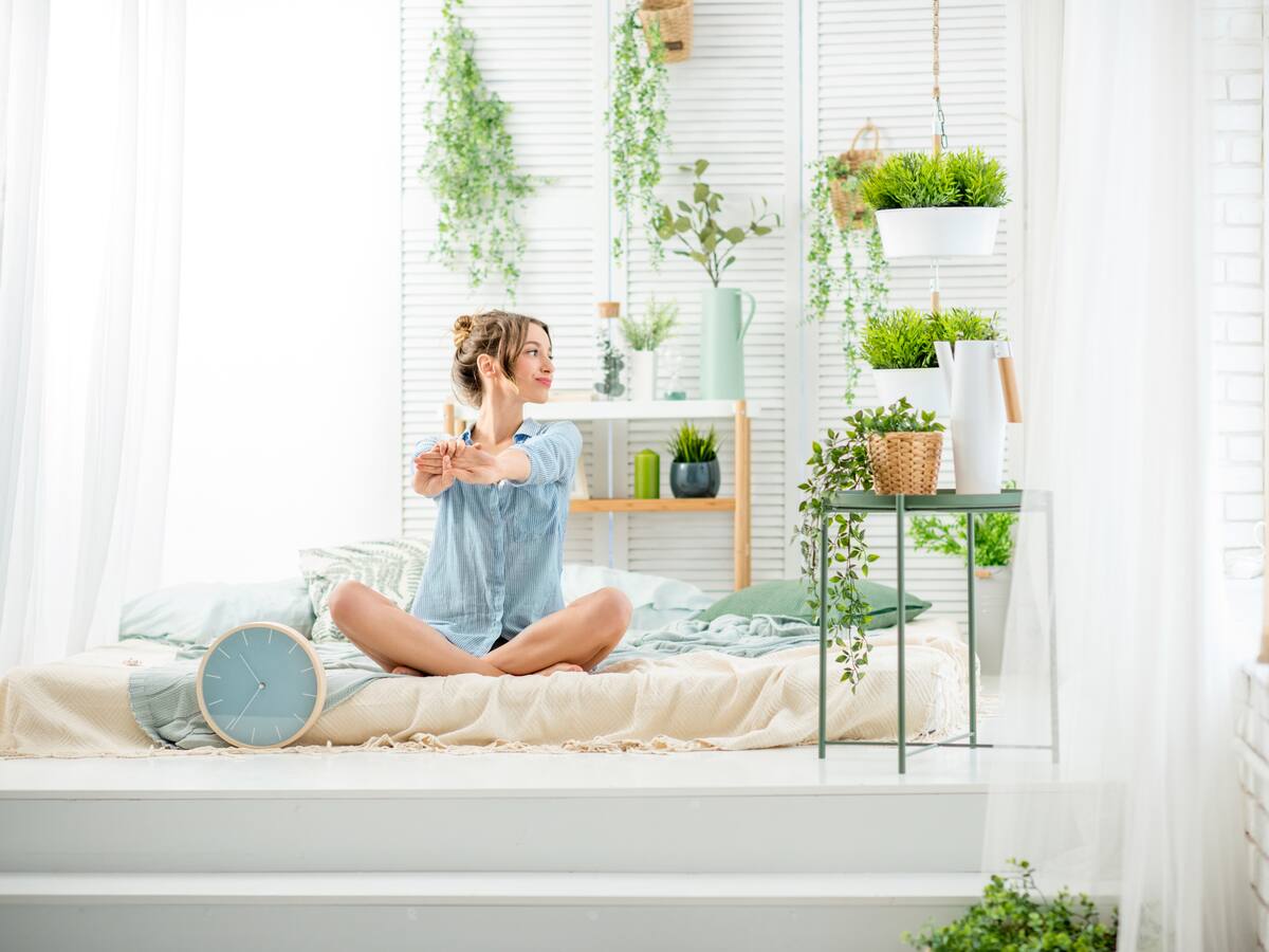 5 plantas que puede tener en su dormitorio: ¿tienen beneficios para dormir mejor?