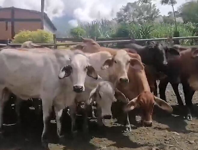 Foto: Unidad para las Víctimas.