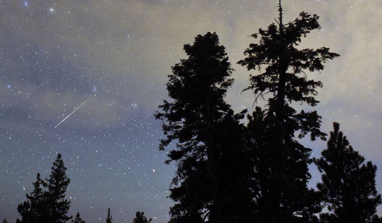 Imagen de referencia