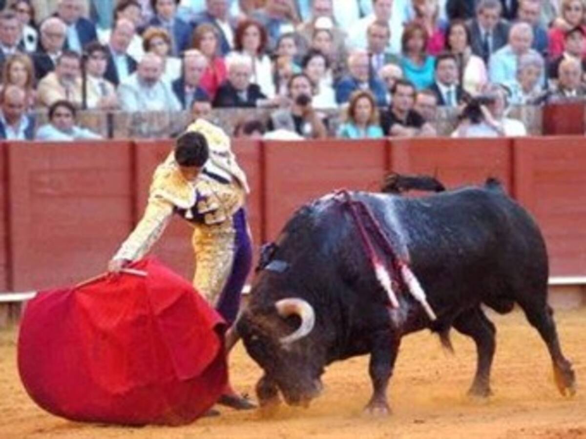 El Congreso es el único que puede prohibir las corridas de toros: Corte Constitucional