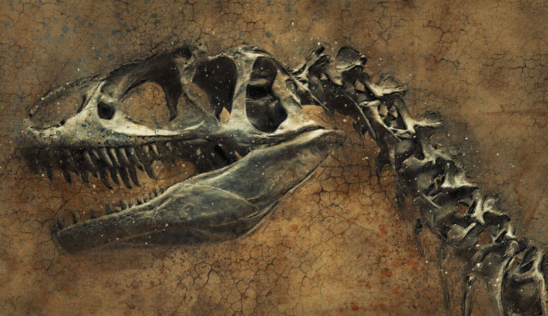 Hallan especie nueva de Dinosaurios en Argentina