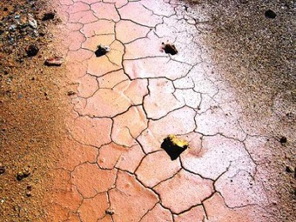 Sequía está originando enfermedades en la Costa