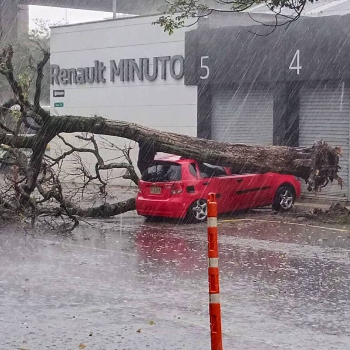 Fuerte aguacero ocasionó la caída de árboles sobre varios carros. Medellín atendió 22 emergencias