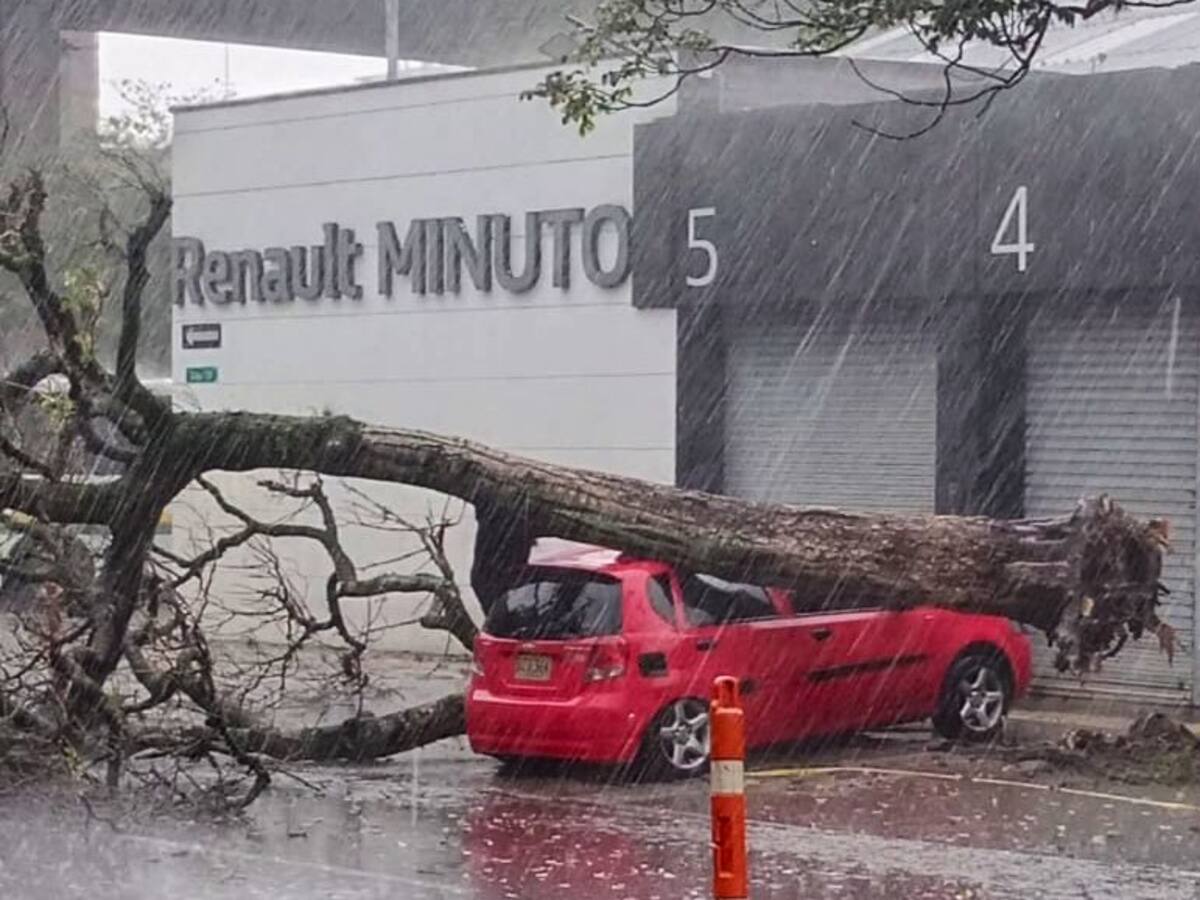 Fuerte aguacero ocasionó la caída de árboles sobre varios carros. Medellín atendió 22 emergencias