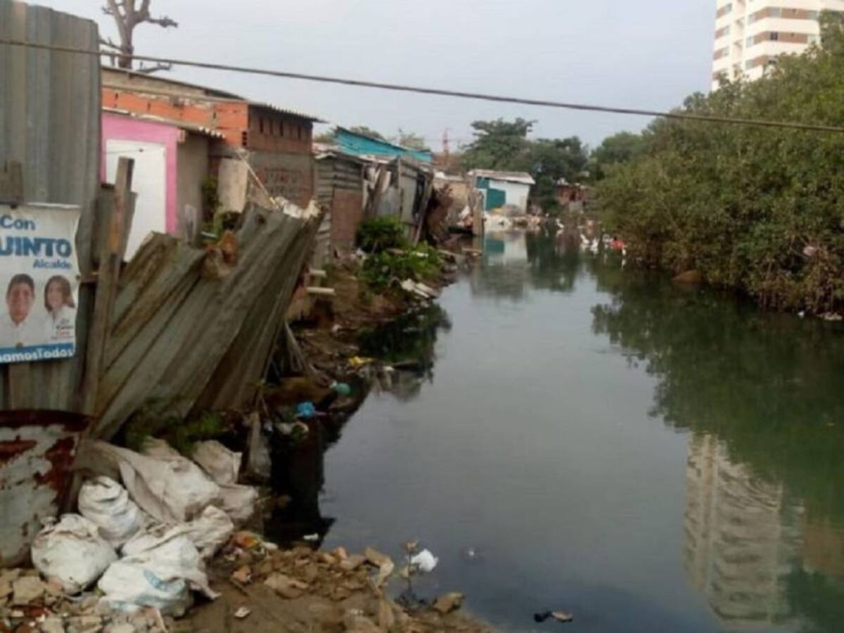 300 kilos de peces muertos fueron recogidos en Cartagena