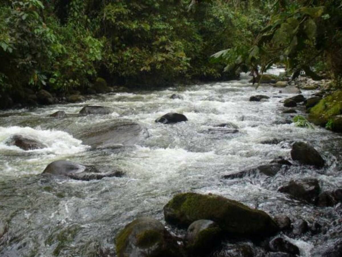 Organismos de socorro de Risaralda buscan a joven que desapareció en río