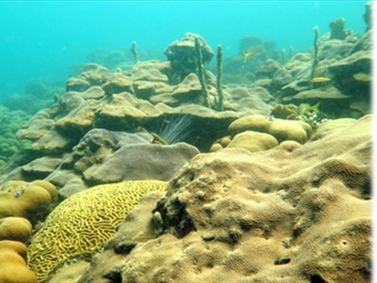 Procuraduría advierte que Canal Alterno de Varadero causaría daño ambiental en Cartagena