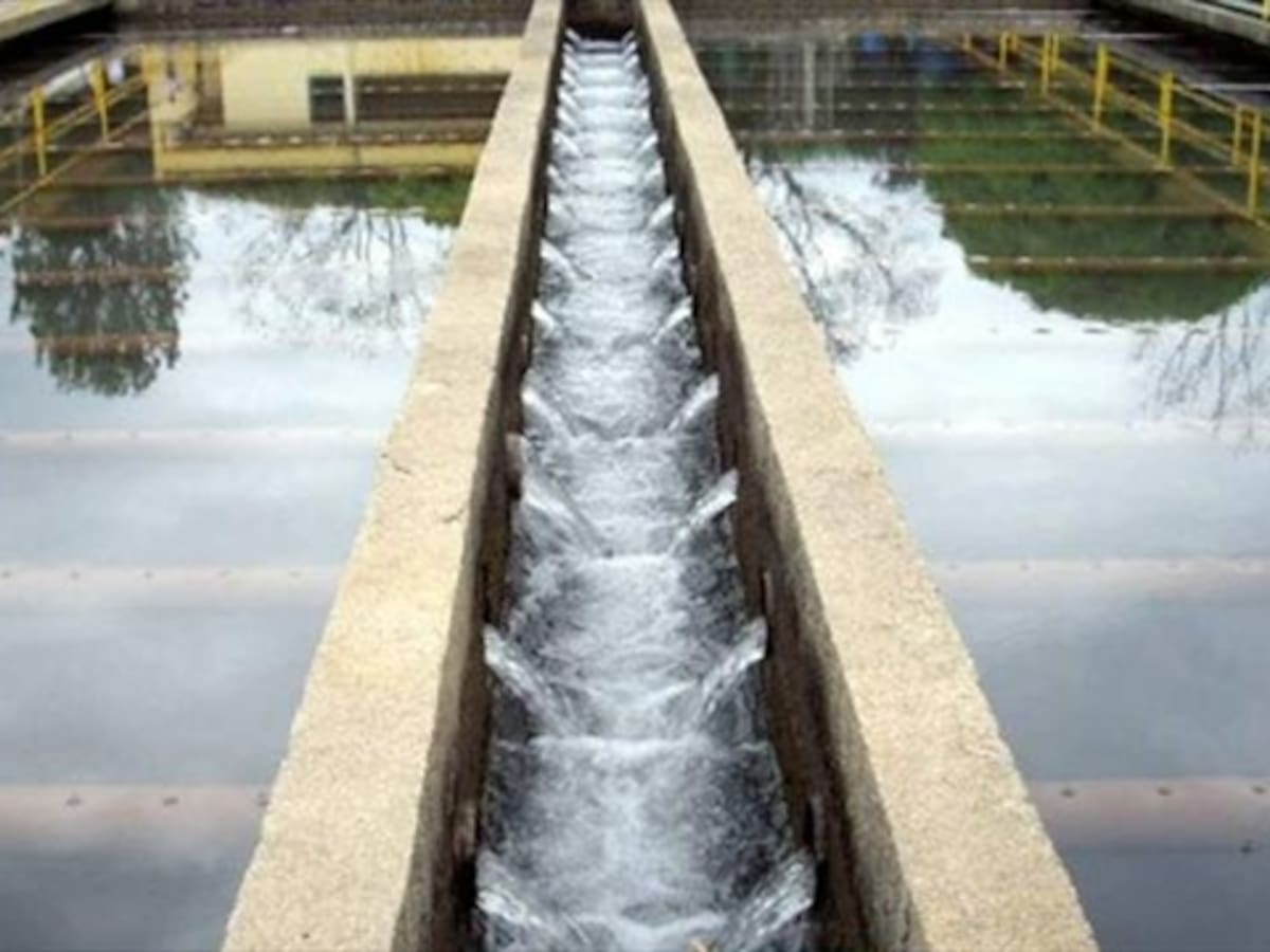 Implementan gusanos para descontaminar el agua