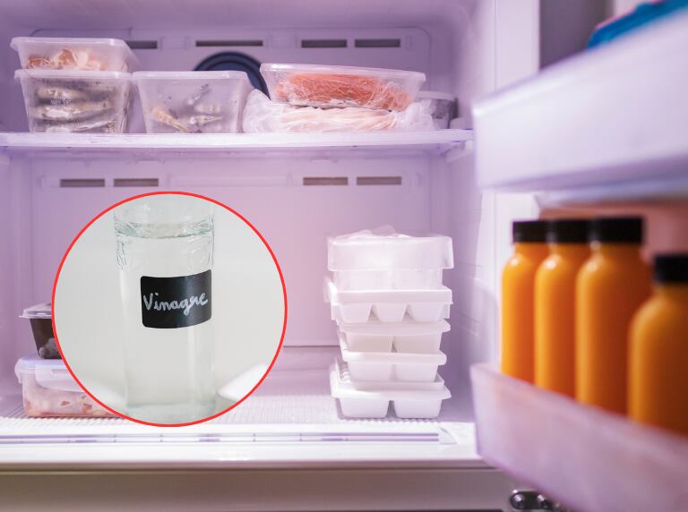 Nevera abierta con varios productos adentro / Frasco de vinagre (Getty Images)