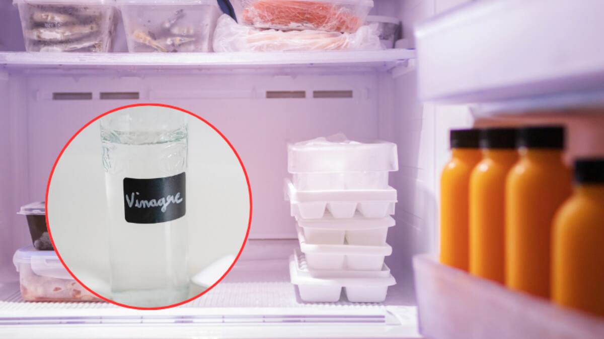 ¿Por qué debería dejar un vaso de agua con vinagre en la nevera? Expertos explican la razón