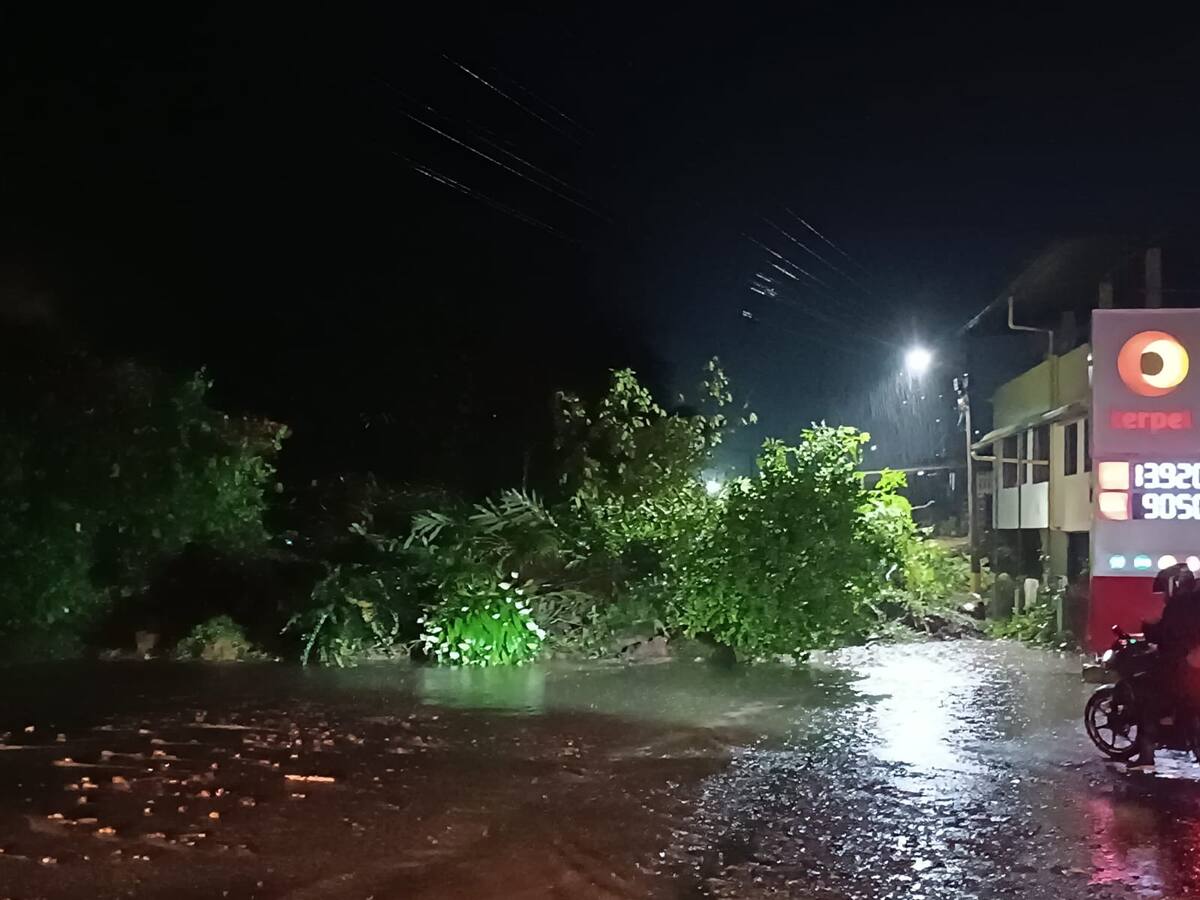 Emergencia en Ricaurte por fuertes lluvias