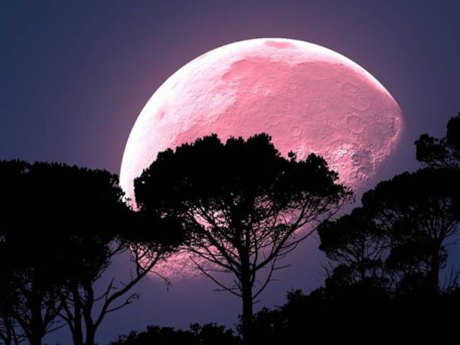 ¿De qué se trata la Luna Rosa del próximo 30 de abril?