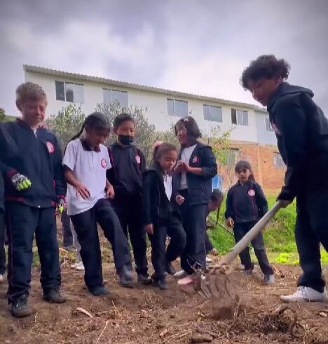 A los niños, les enseñan la importancia de cultivar en sus colegios. Foto | Captura de pantalla