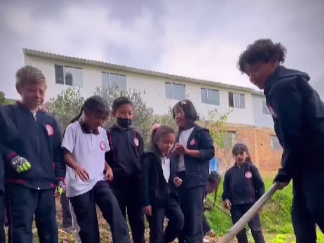 A los niños, les enseñan la importancia de cultivar en sus colegios. Foto | Captura de pantalla