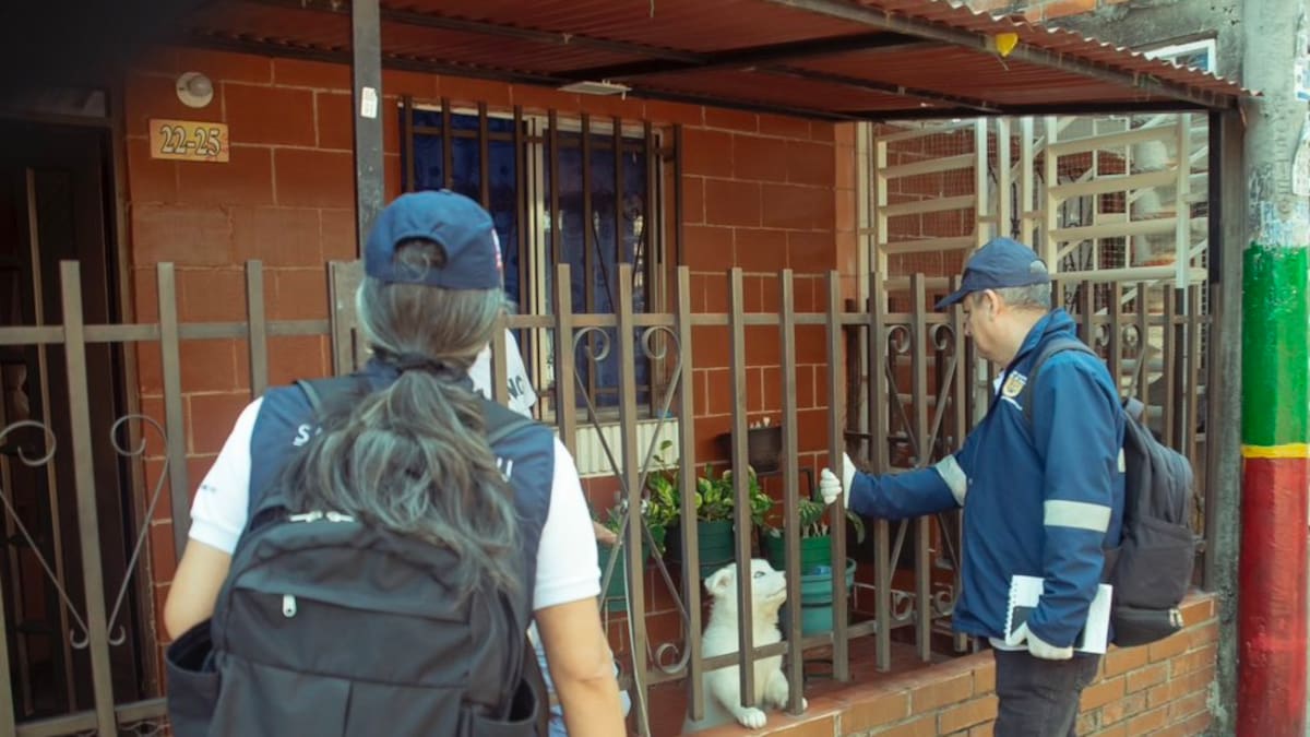 Al menos el 2% de los hogares en Cali tiene un criadero de dengue en el patio de su casa