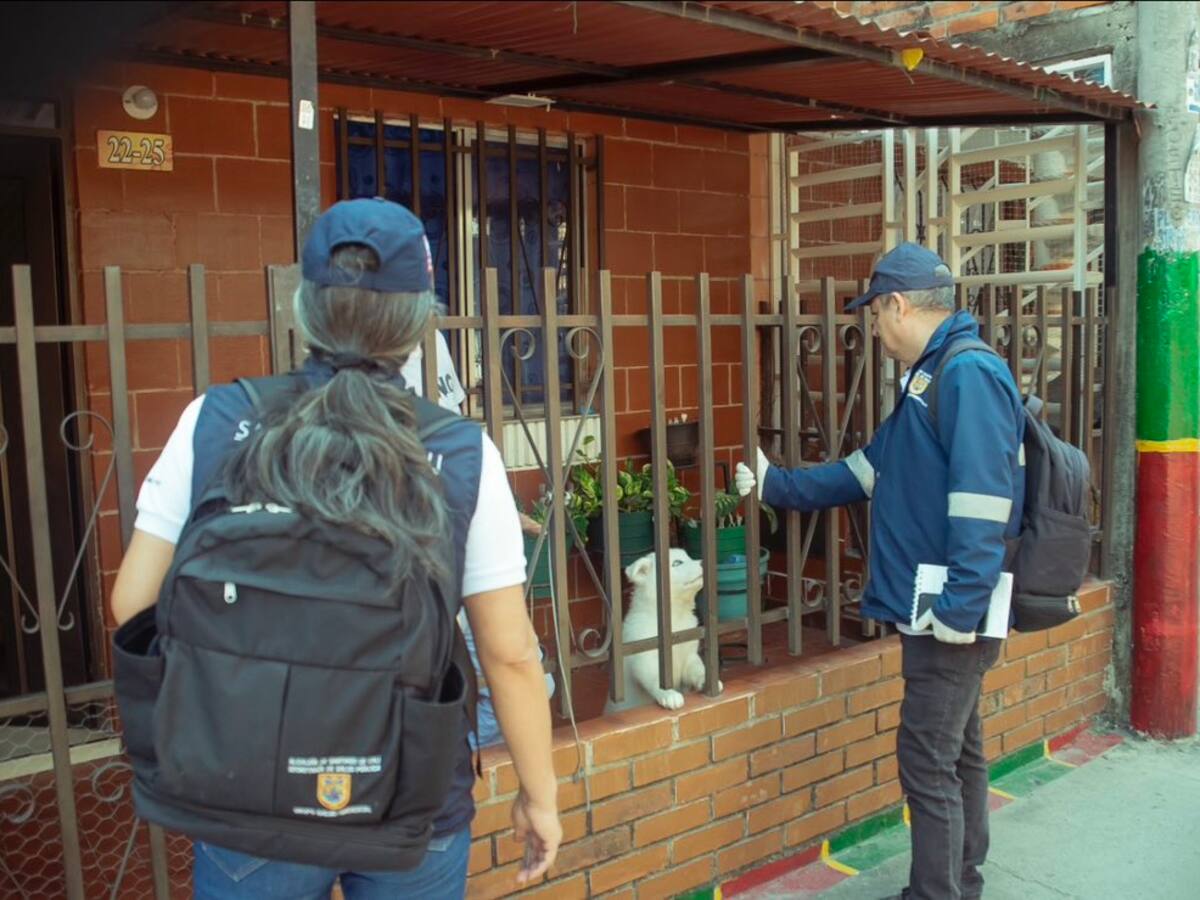 Al menos el 2% de los hogares en Cali tiene un criadero de dengue en el patio de su casa
