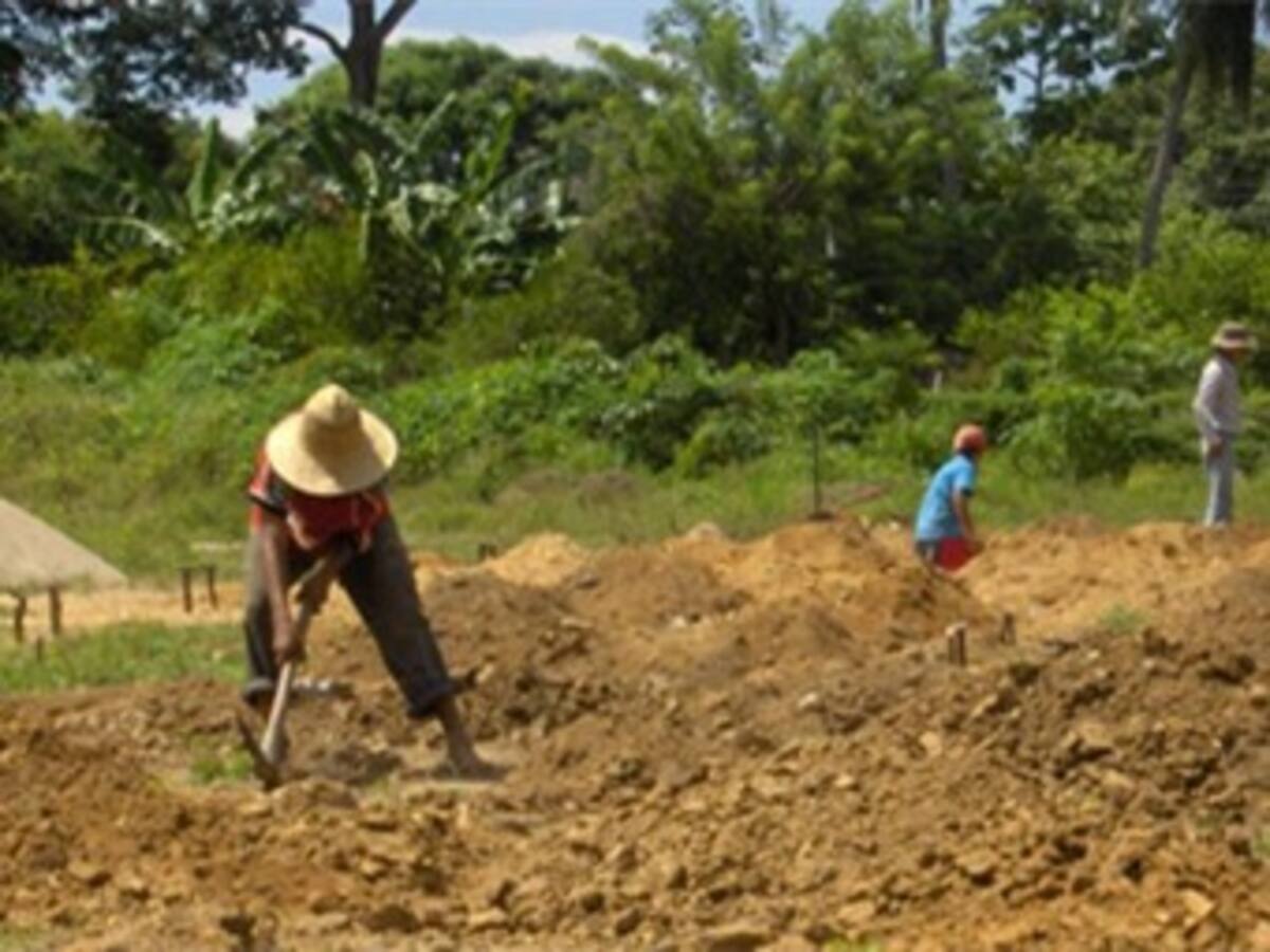 Gobierno afirma que más de 1.000 personas se han beneficiado de restitución