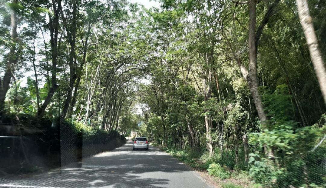 Vía entre los municipios de Montenegro y Quimbaya en el Quindío