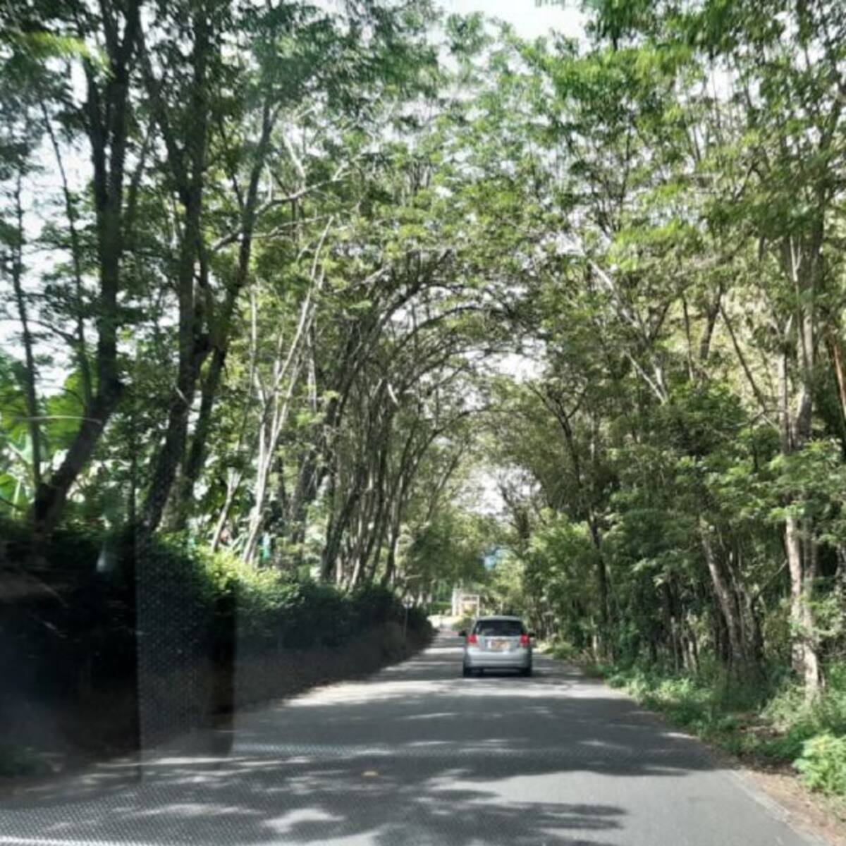 Miércoles 6 de enero, las noticias más importantes de Armenia y el Quindío